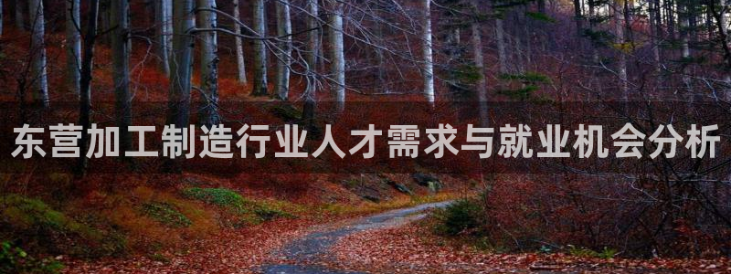 乐发第一娱乐平台邀请码