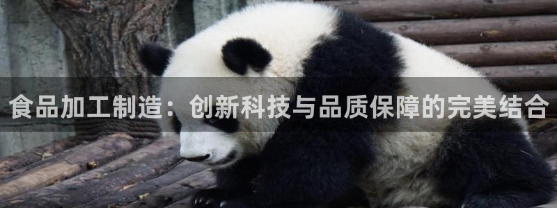 乐发彩票vll平台