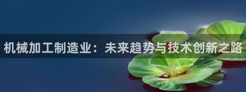 乐发ix投资平台官网