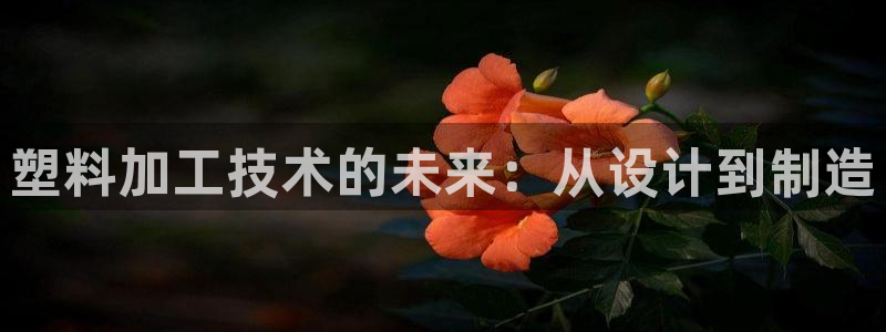 乐发彩票最新平台官网