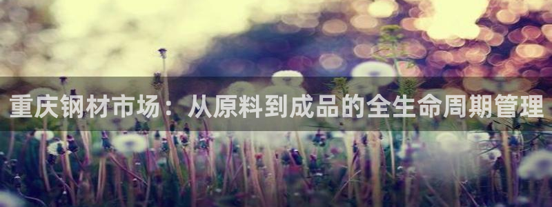 乐发Iv彩票官方平台