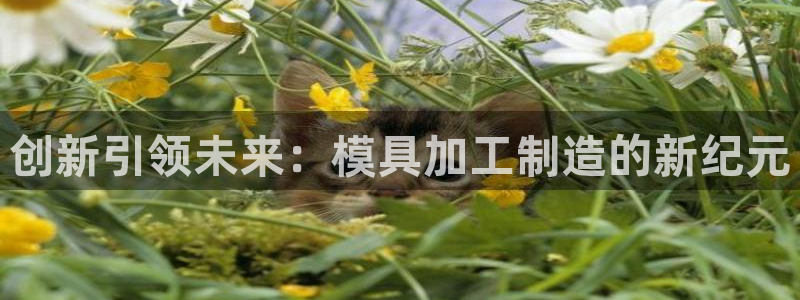 乐享发朋友圈平台